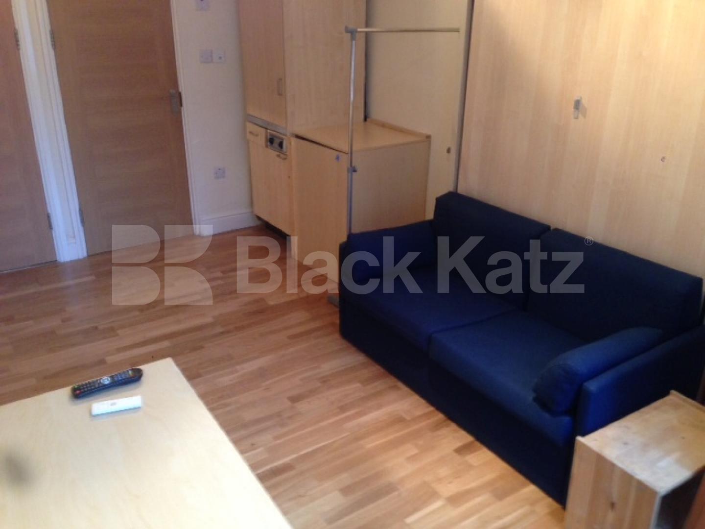 			New Instruction, Studio Apartment, 1 bath, 1 reception Studio			 Greville Street , Hatton Garden/ Farringdon/Holborn